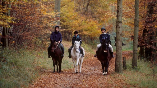 Children and mounted warden riding horses on woodland bridleway in Golden Valley at Ashridge Estate, Hertfordshire